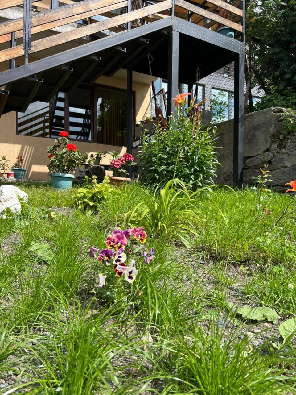 Guesthouse Relax In Kazbegi Esterno foto